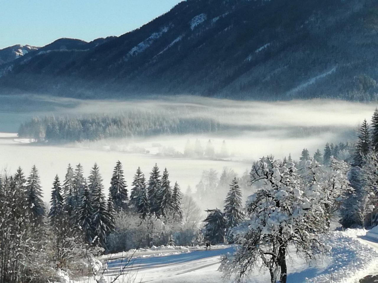 Ferienwohnungen Mitterer Weissensee Zewnętrze zdjęcie