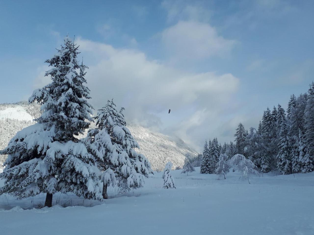 Ferienwohnungen Mitterer Weissensee Zewnętrze zdjęcie